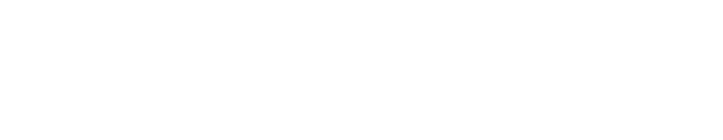 SEO Services IT